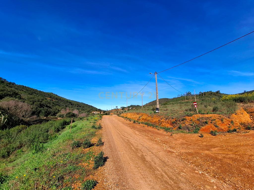 Herdade com 6 Ha  com uma casa térrea - Image 13