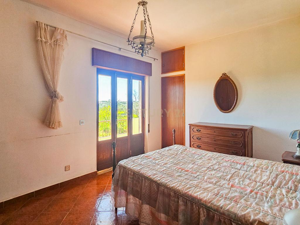 Moradia T3 | Geminada | Pomar 9480m2 | Joinal – S.B.Messines | Armazém | Casa de Apoio T2 - Image 14