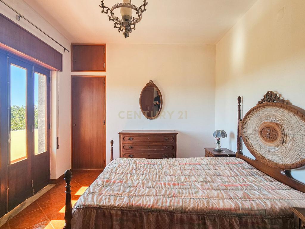 Moradia T3 | Geminada | Pomar 9480m2 | Joinal – S.B.Messines | Armazém | Casa de Apoio T2 - Image 11