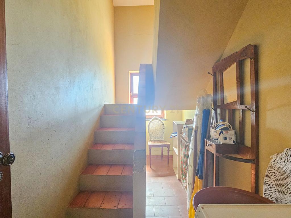 Moradia T3 | Geminada | Pomar 9480m2 | Joinal – S.B.Messines | Armazém | Casa de Apoio T2 - Image 30