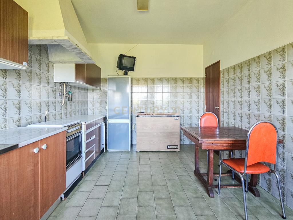 Moradia T3 | Geminada | Pomar 9480m2 | Joinal – S.B.Messines | Armazém | Casa de Apoio T2 - Image 19