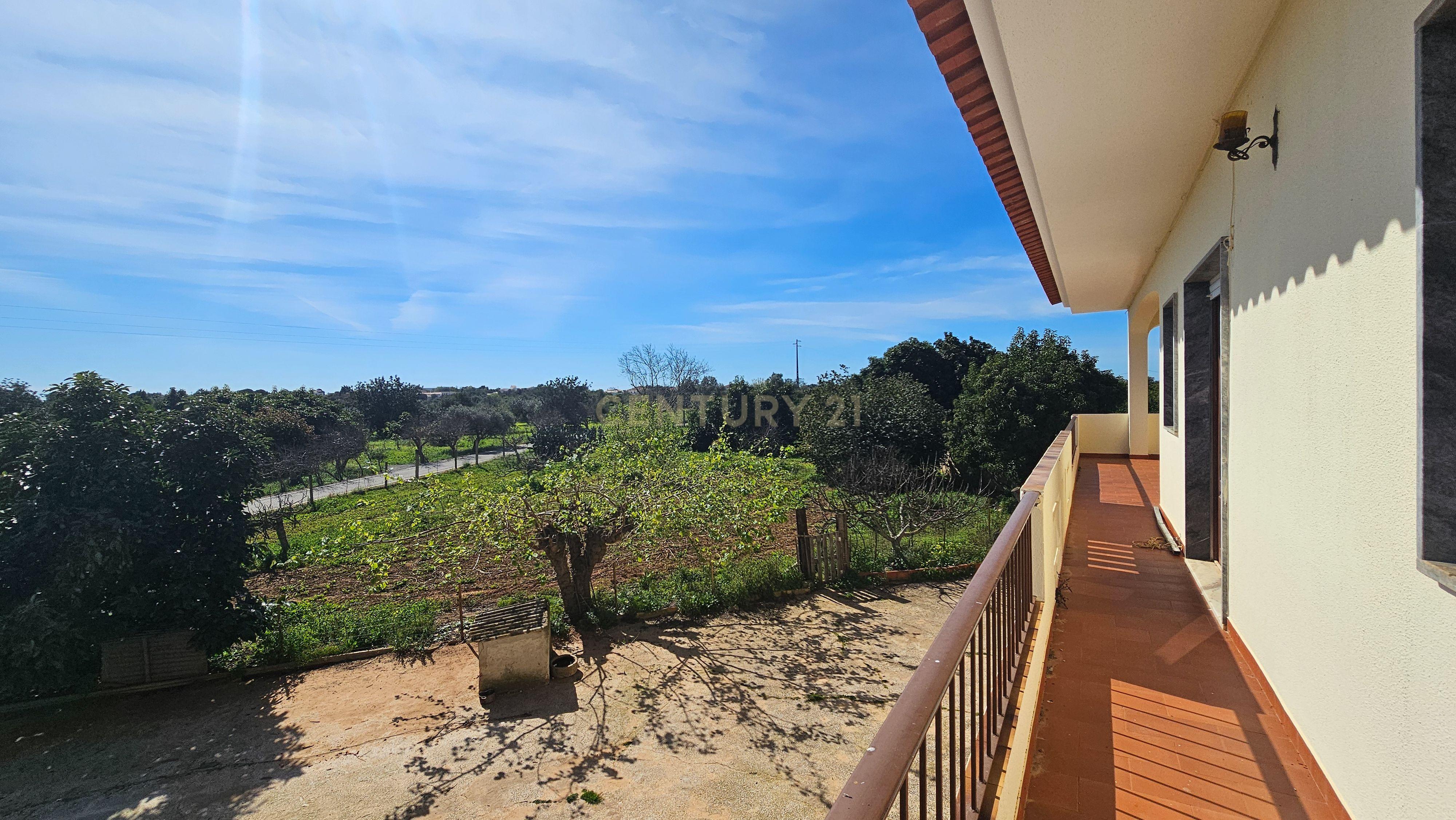 Moradia T3 | Geminada | Pomar 9480m2 | Joinal – S.B.Messines | Armazém | Casa de Apoio T2 - Image 17