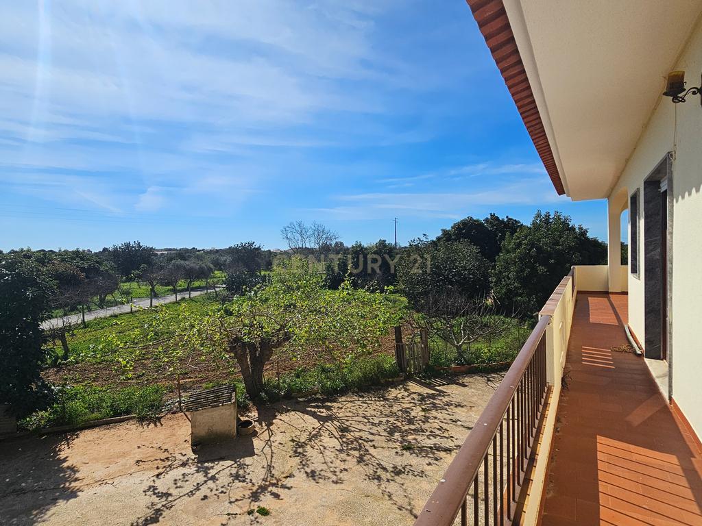 Moradia T3 | Geminada | Pomar 9480m2 | Joinal – S.B.Messines | Armazém | Casa de Apoio T2 - Image 17