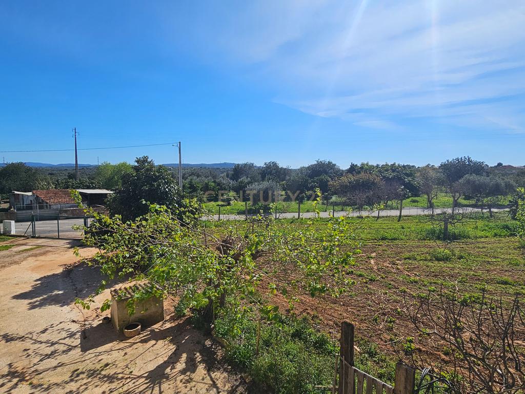 Moradia T3 | Geminada | Pomar 9480m2 | Joinal – S.B.Messines | Armazém | Casa de Apoio T2 - Image 58