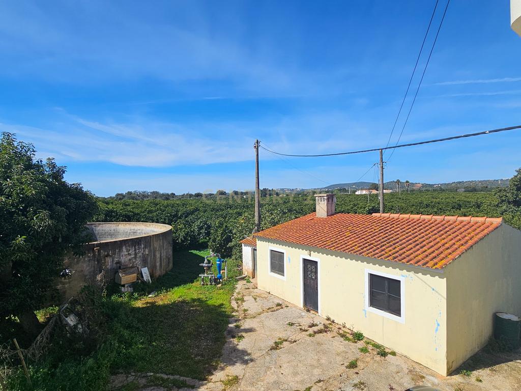 Moradia T3 | Geminada | Pomar 9480m2 | Joinal – S.B.Messines | Armazém | Casa de Apoio T2 - Image 48