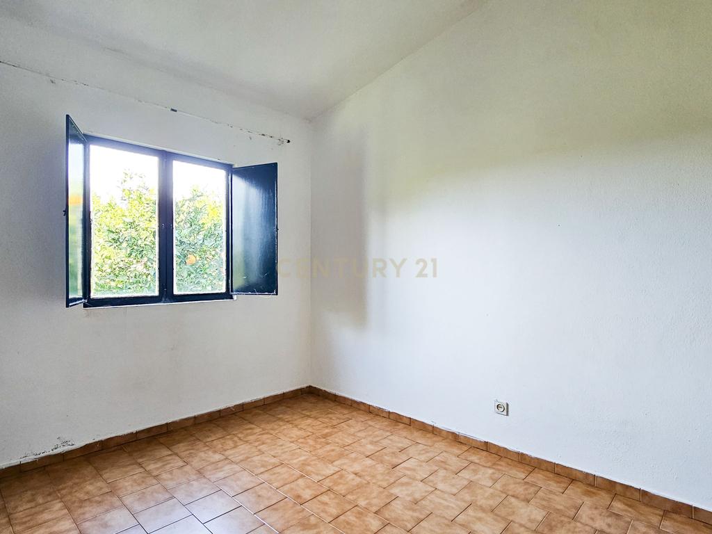 Moradia T3 | Geminada | Pomar 9480m2 | Joinal – S.B.Messines | Armazém | Casa de Apoio T2 - Image 57