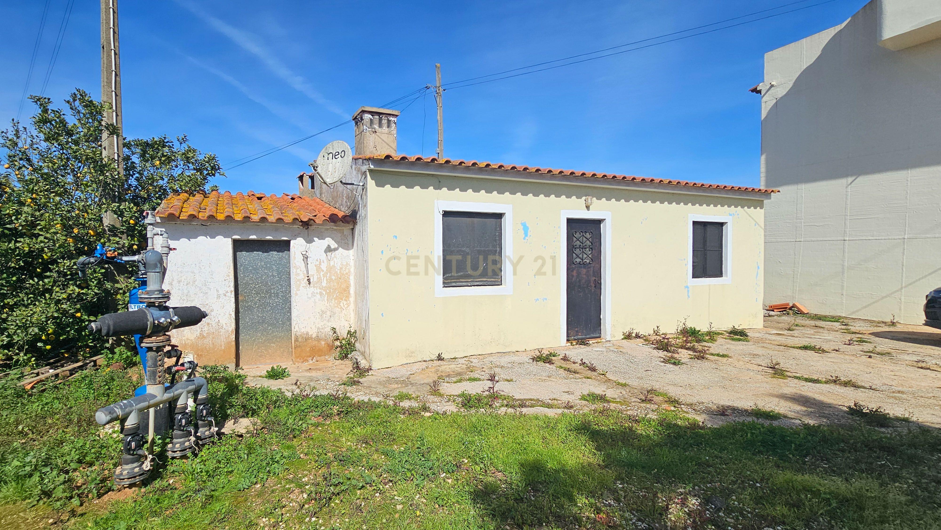 Moradia T3 | Geminada | Pomar 9480m2 | Joinal – S.B.Messines | Armazém | Casa de Apoio T2 - Image 50
