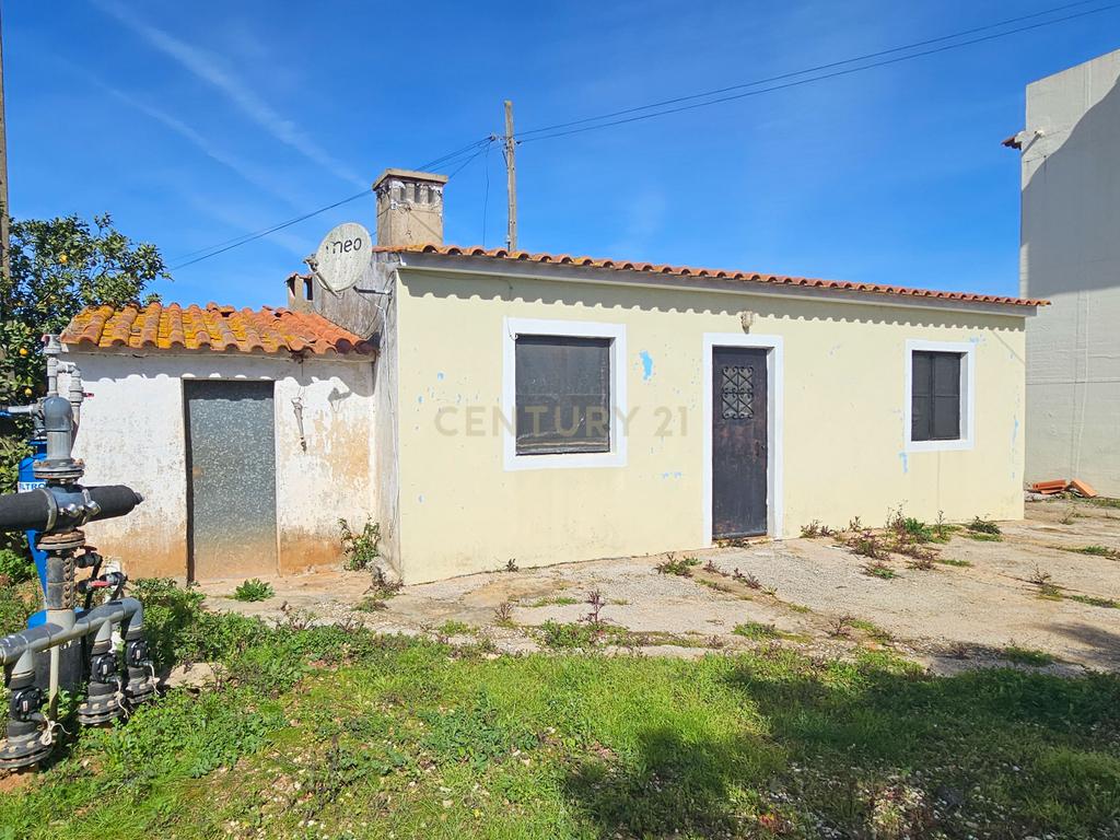 Moradia T3 | Geminada | Pomar 9480m2 | Joinal – S.B.Messines | Armazém | Casa de Apoio T2 - Image 50