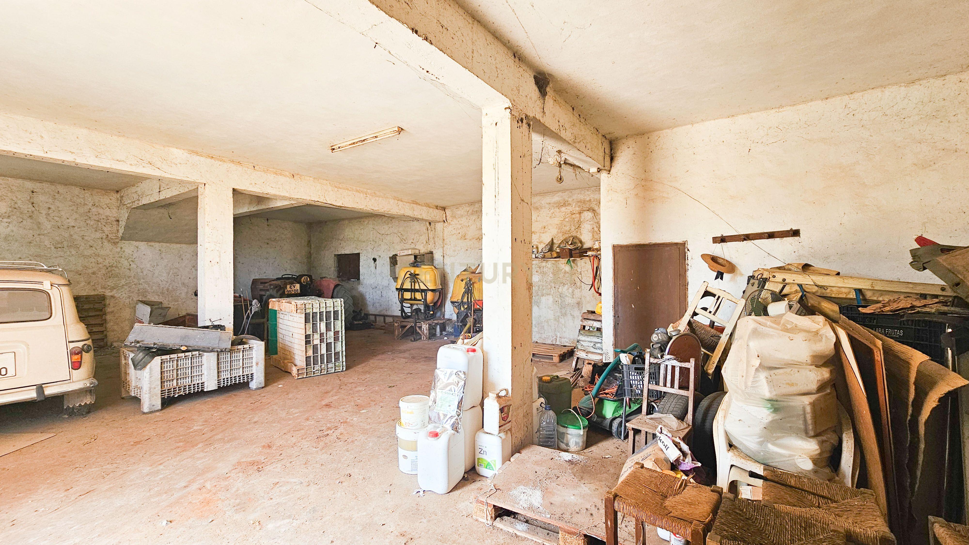 Moradia T3 | Geminada | Pomar 9480m2 | Joinal – S.B.Messines | Armazém | Casa de Apoio T2 - Image 42