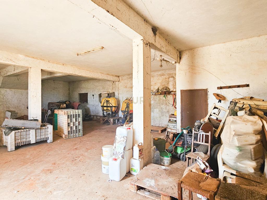 Moradia T3 | Geminada | Pomar 9480m2 | Joinal – S.B.Messines | Armazém | Casa de Apoio T2 - Image 42