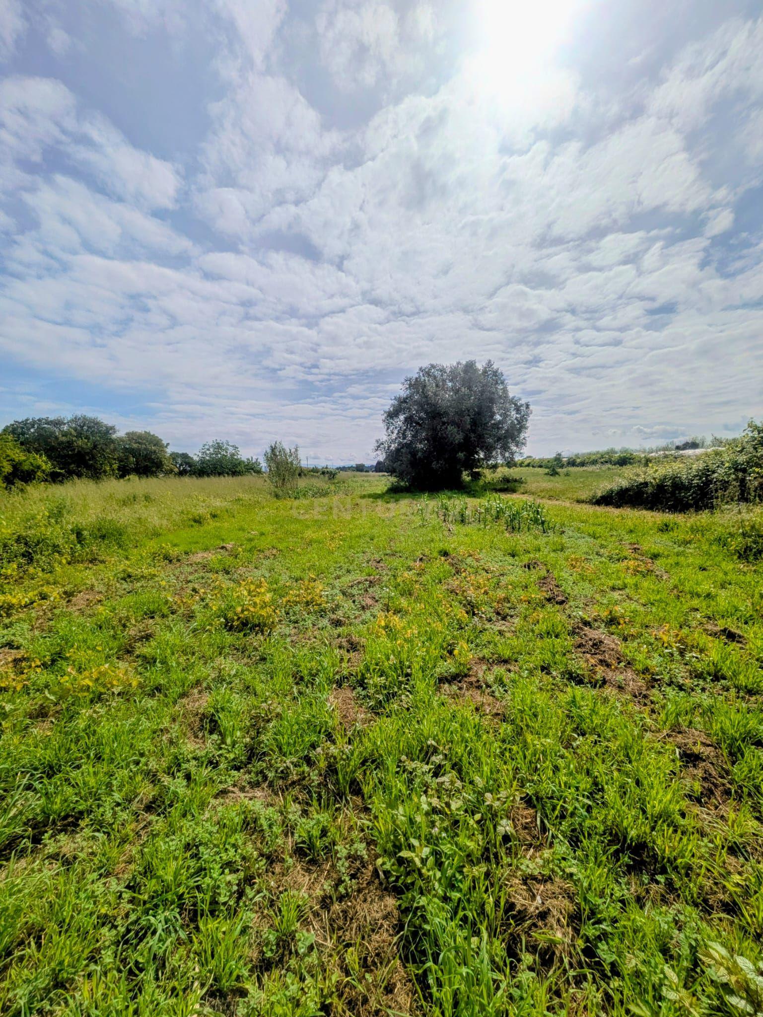 Fotografia 7 de Terreno 1.780 m² com Excelente Localização – Próximo de Escolas e Comércio