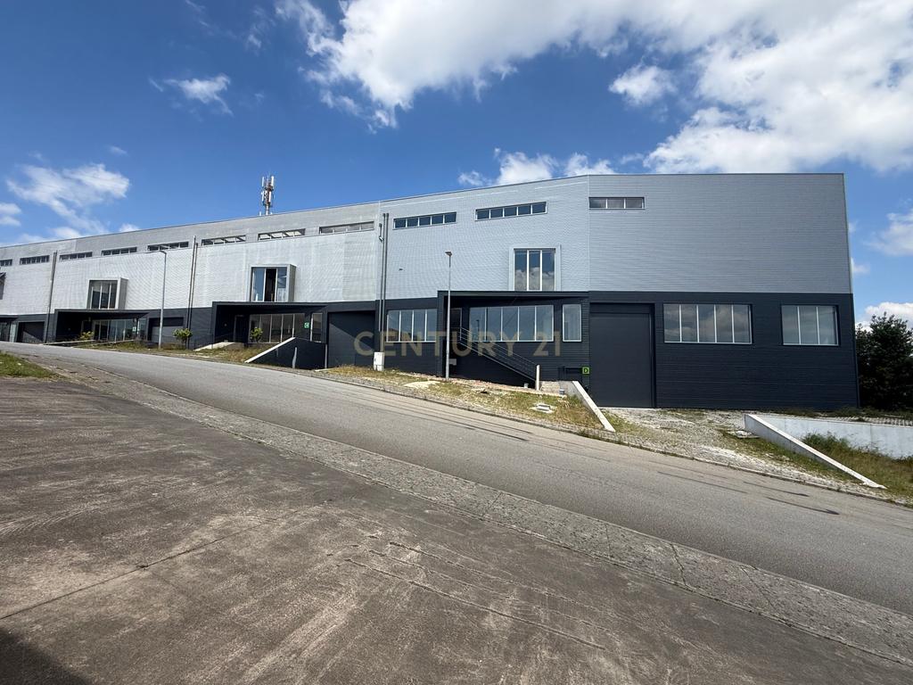 ARMAZÉM INDUSTRIAL | SANTO TIRSO | INVESTIMENTO / LOGÍSTICA / COMÉRCIO E INDÚSTRIA - Image 2