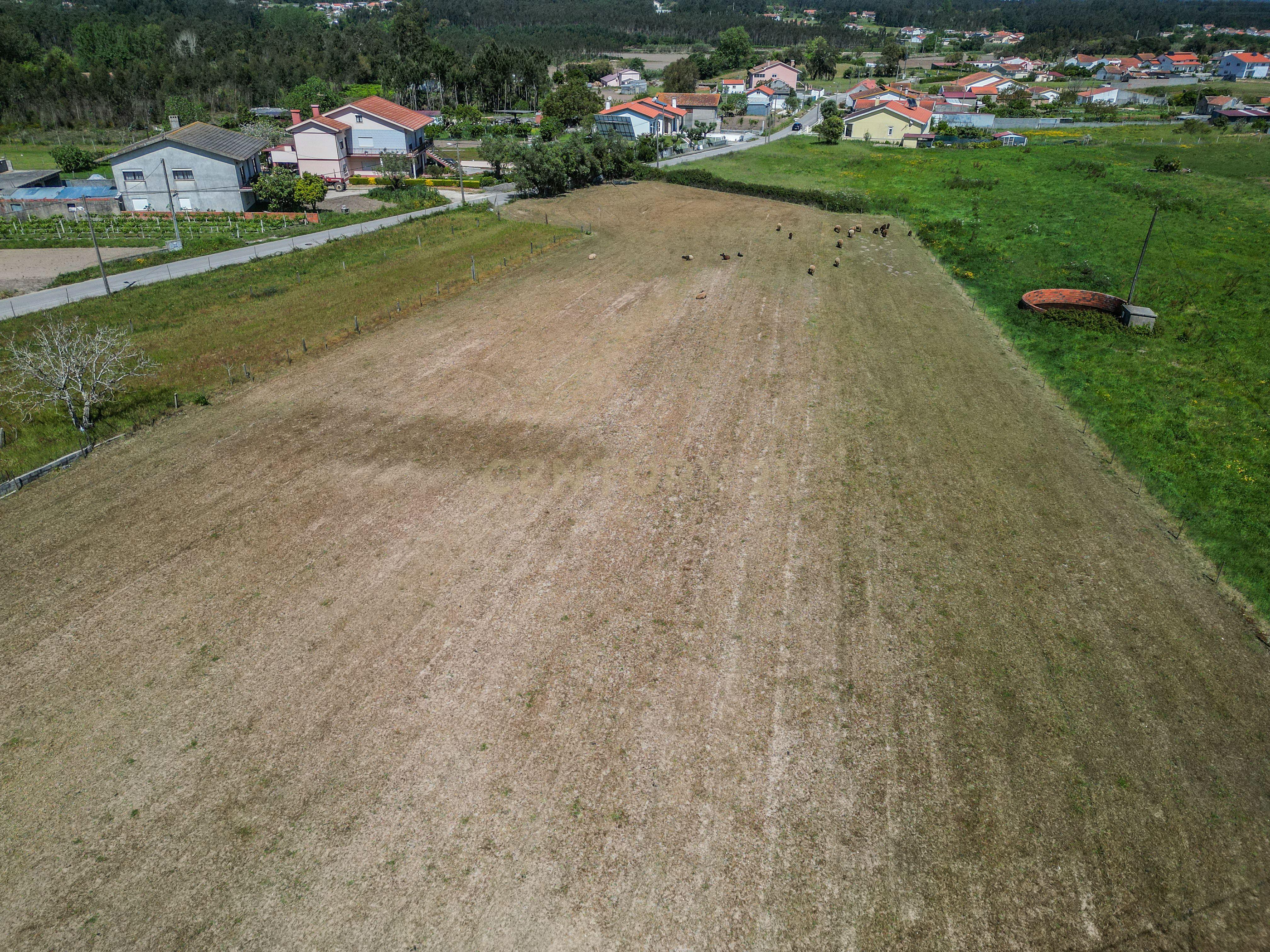 Fotografia 6 de Terreno com viabilidade de construção nas Alhadas, Figueira da Foz