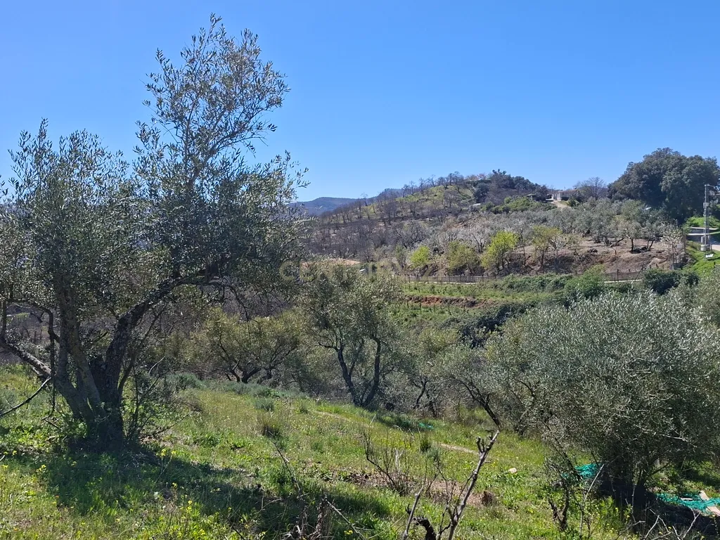 Moradia geminada de gaveto, com orientação sul, vistas para a montanha e duas propriedades rústicas com oliveiras, vinhas e castanheiros, no coração do Alto Genal. - Image 29