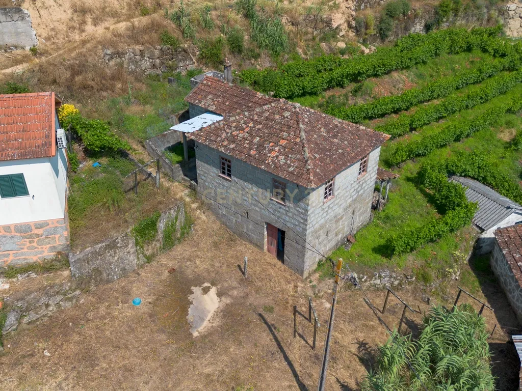 Quintinha com 2 casas em pedra para recuperar + 2 terrenos com vinhas-( 8.210m2 ) -Douro Vinhateiro! - Image 7