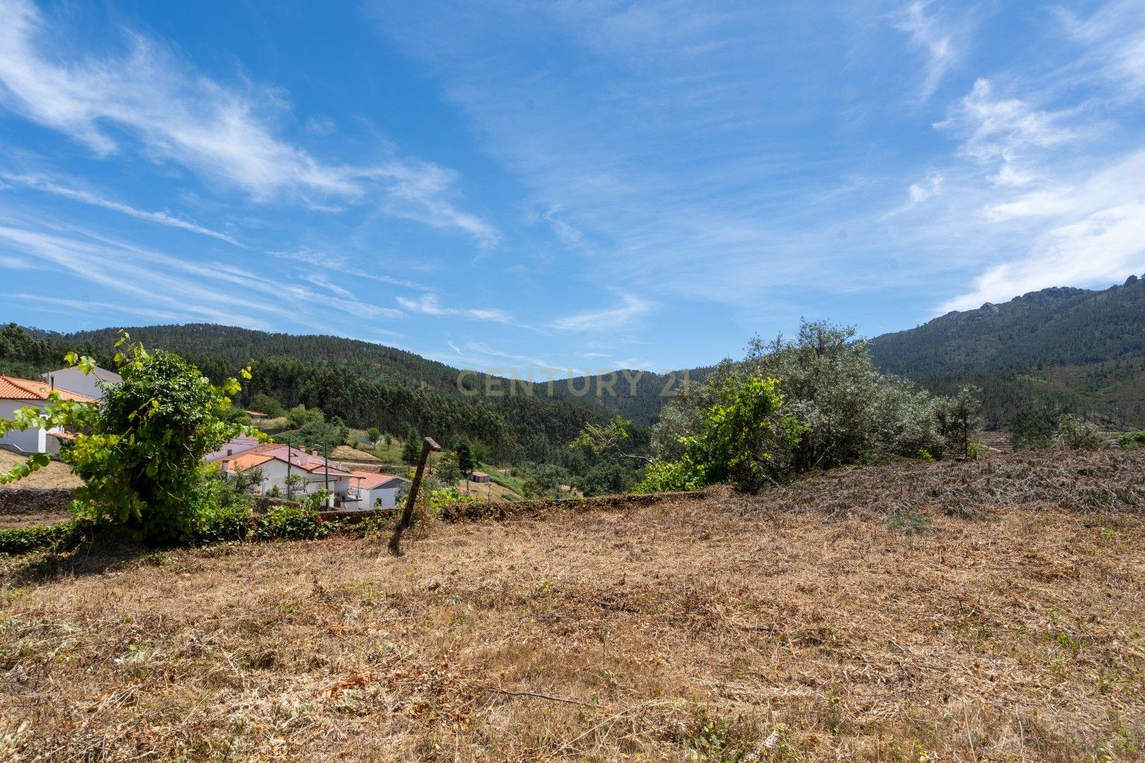 Fotografia 5 de Quinta com duas casas independentes para restaurar e poço