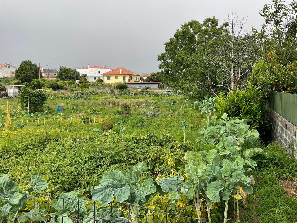 Terreno Aprovado para Projeto em Viana do Castelo - Image 9