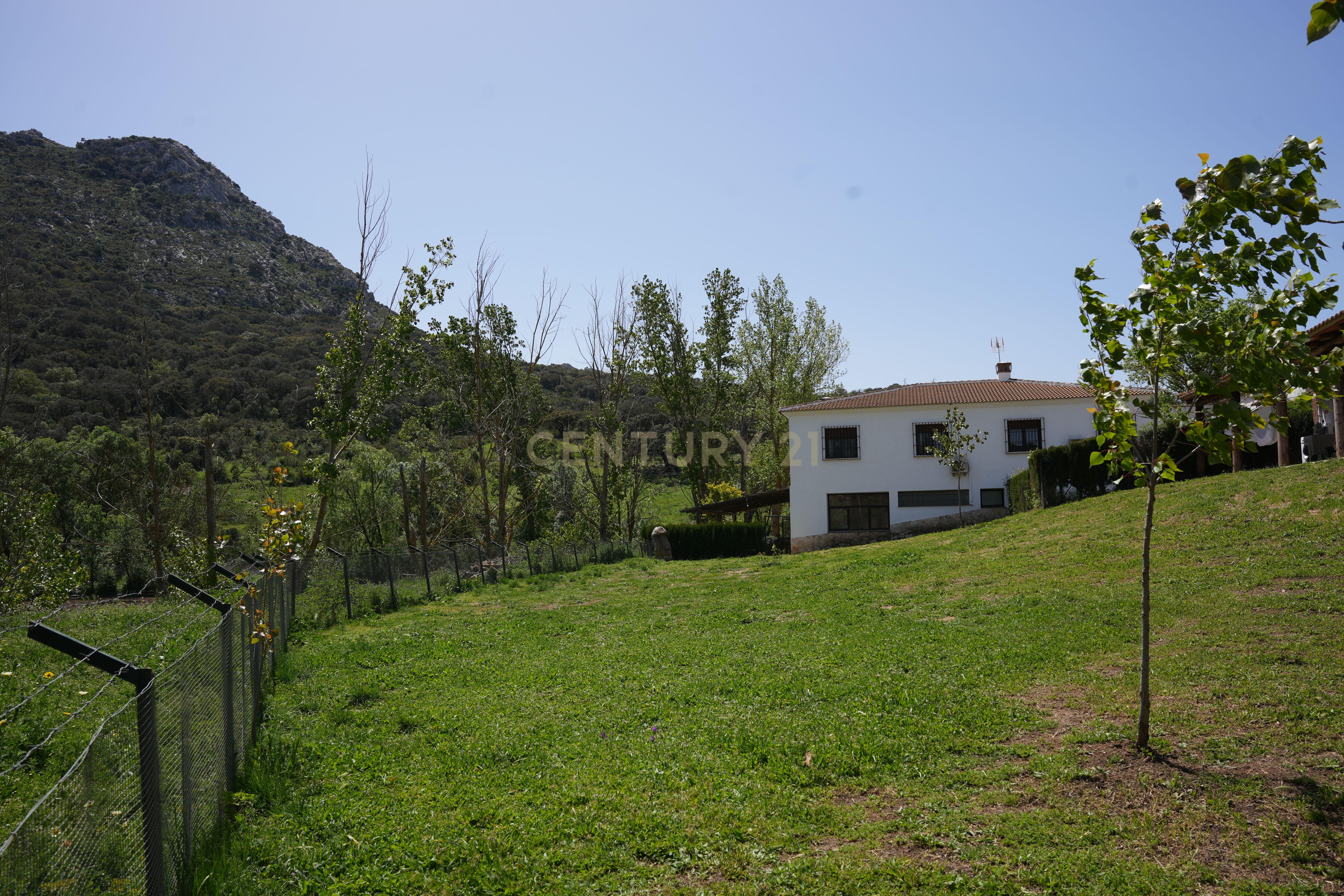 VENDA DE PROPRIEDADE RÚSTICA EM ANTEQUERA COM EXPLORAÇÃO DE AGROTURISMO - Image 57