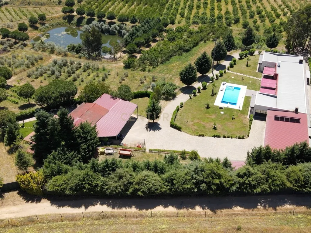 Luxuosa Herdade/Quinta do Pinheiro Redondo, Covilhã - Image 14
