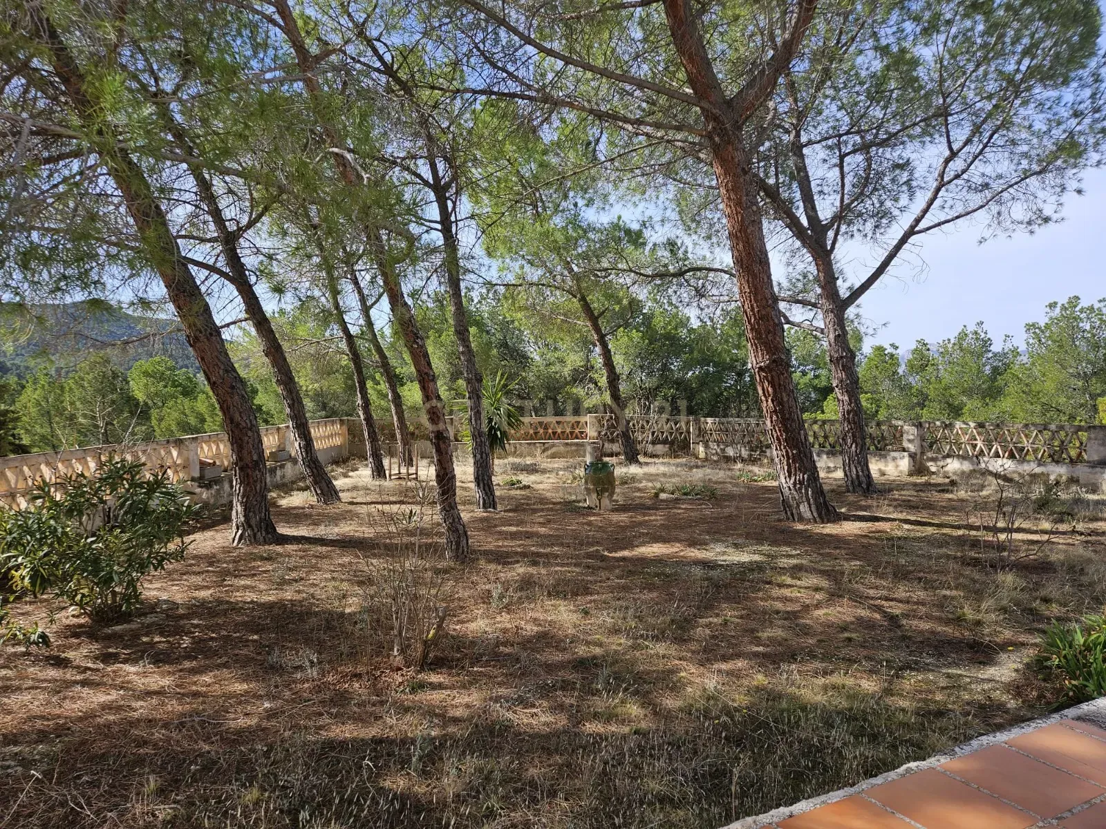 undefined - Image 12