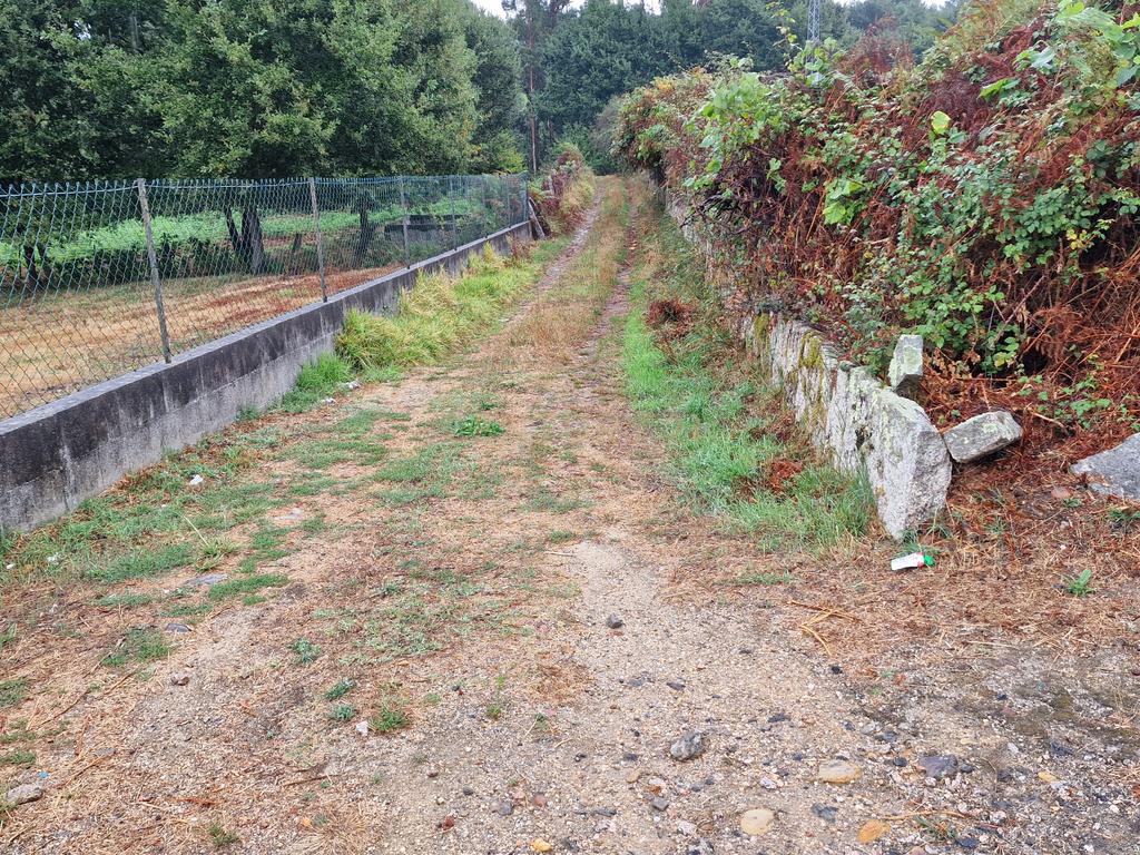 Terreno plano, com 2152m2, localizado a 5 minutos do centro de S. Pedro da Torre - Image 9
