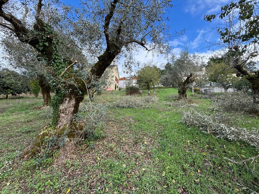 Moradia em ruína para recuperação em Pombal, Leiria - Image 24