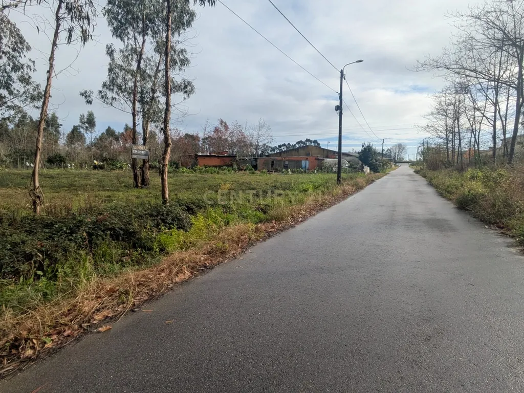 Terreno Agroflorestal em Oliveira do Bairro - Image 5