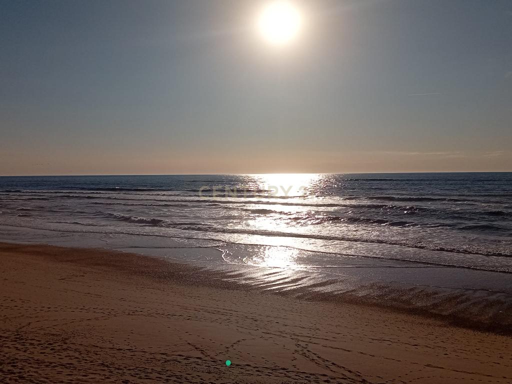 Refúgio à Beira-Mar: Moradia para construir o seu sonho junto a praia da Vieira, Marinha Grande- Leiria - Image 15