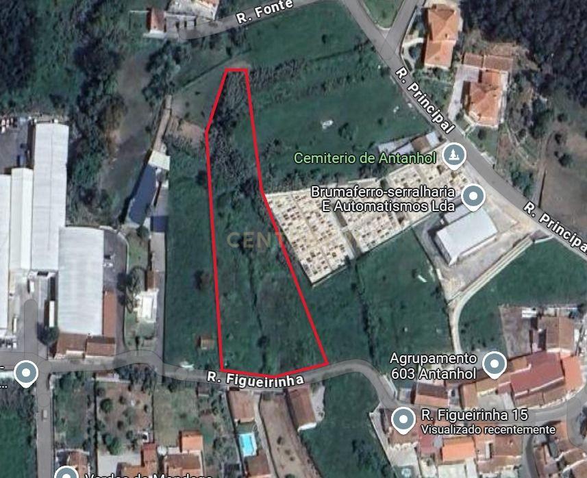 Terreno Rústico em Antanhol, Coimbra – 3.500m² com Árvores de Fruto e Oliveiras - Image 1