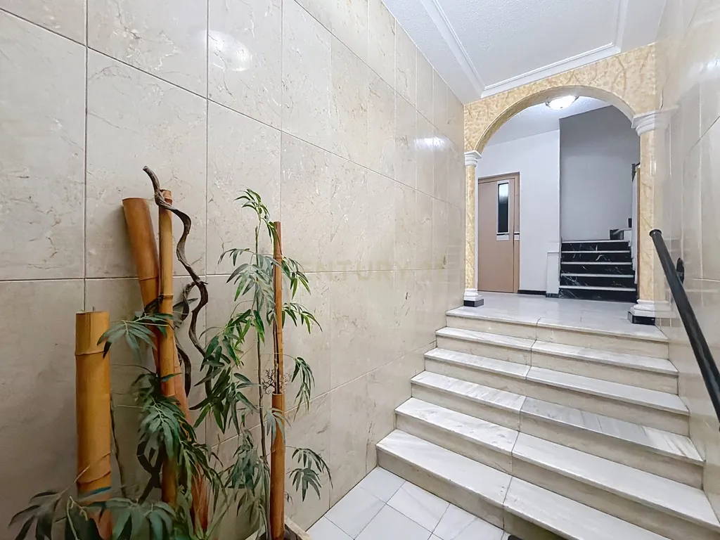 - Image 19