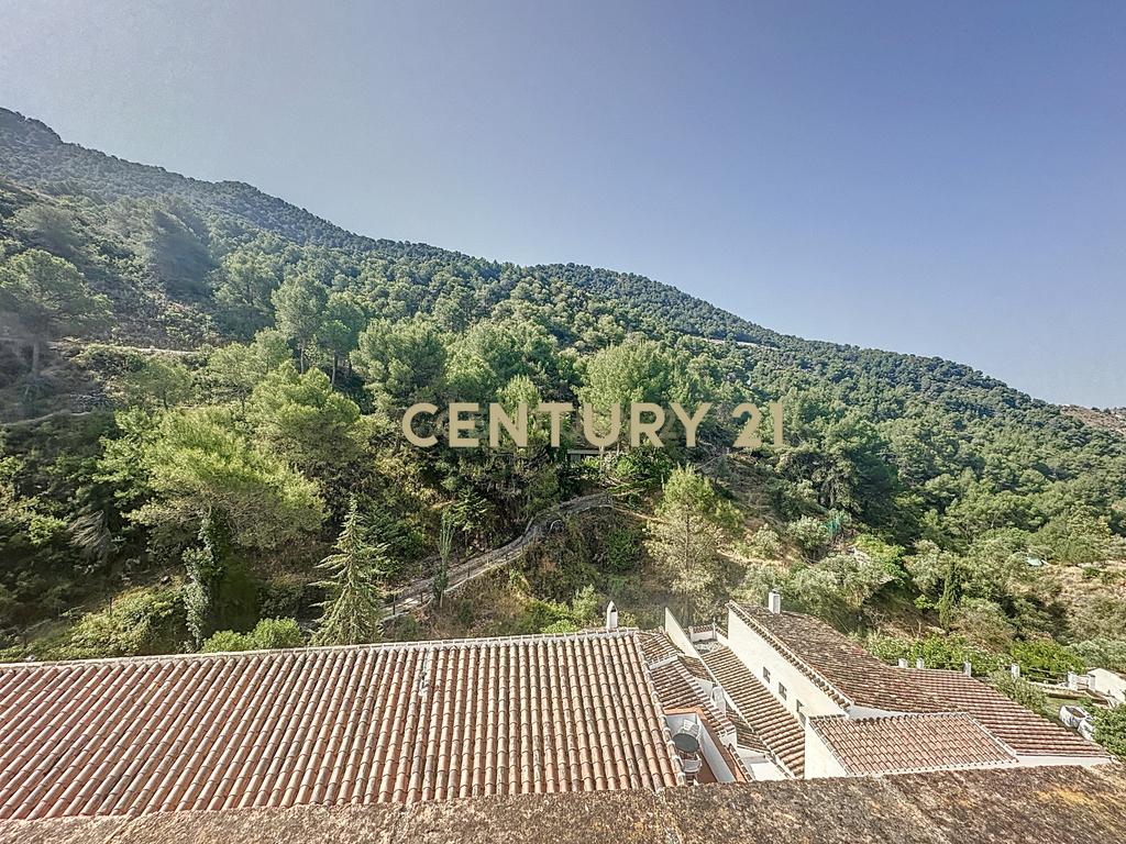 Grande casa de 9 quartos com piscina em El Acebuchal, ideal para um B&B ou retiro rural - Image 18