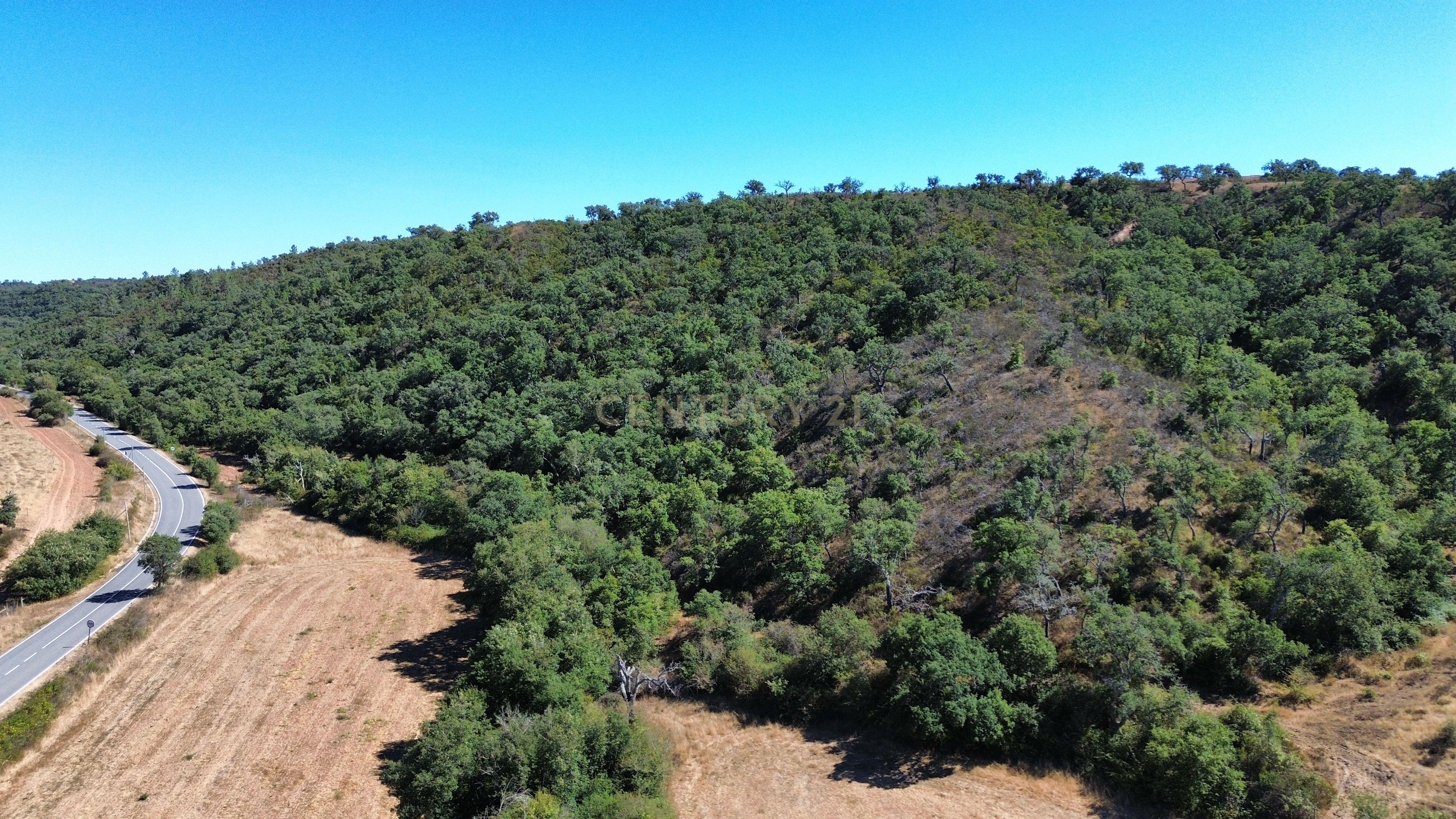 Fotografia 9 de HERDADE COM 193 HECTARES | BOAVISTA DOS PINHEIROS, ODEMIRA