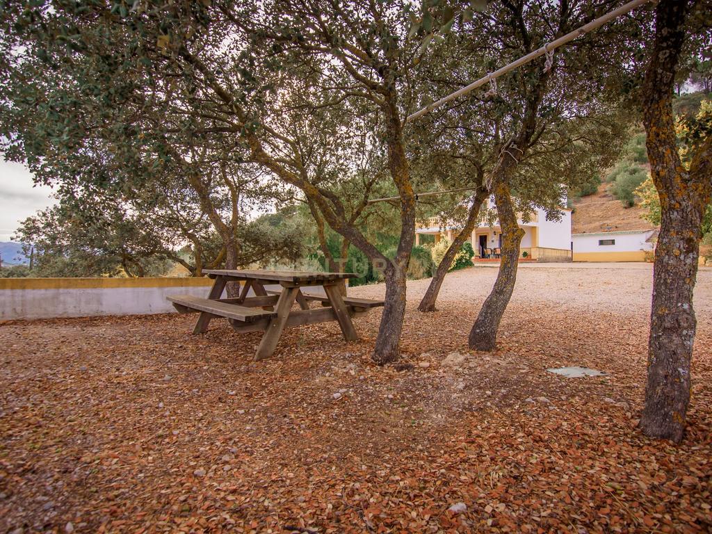 Uma propriedade rural rodeada pela natureza com uma casa de dois andares, piscina privada vedada e terraço para banhos de sol, licença turística, um olival produtivo, instalações para animais adaptáveis ​​e acesso pavimentado a apenas 10 minutos de Ronda. - Image 24
