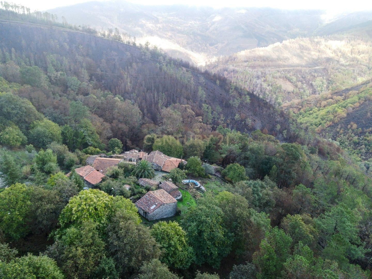 Fotografia 9 de Moradia Rústica em Pedra– 2 Quartos | Piscina | Terreno em  Vaqueirinho, Lousã