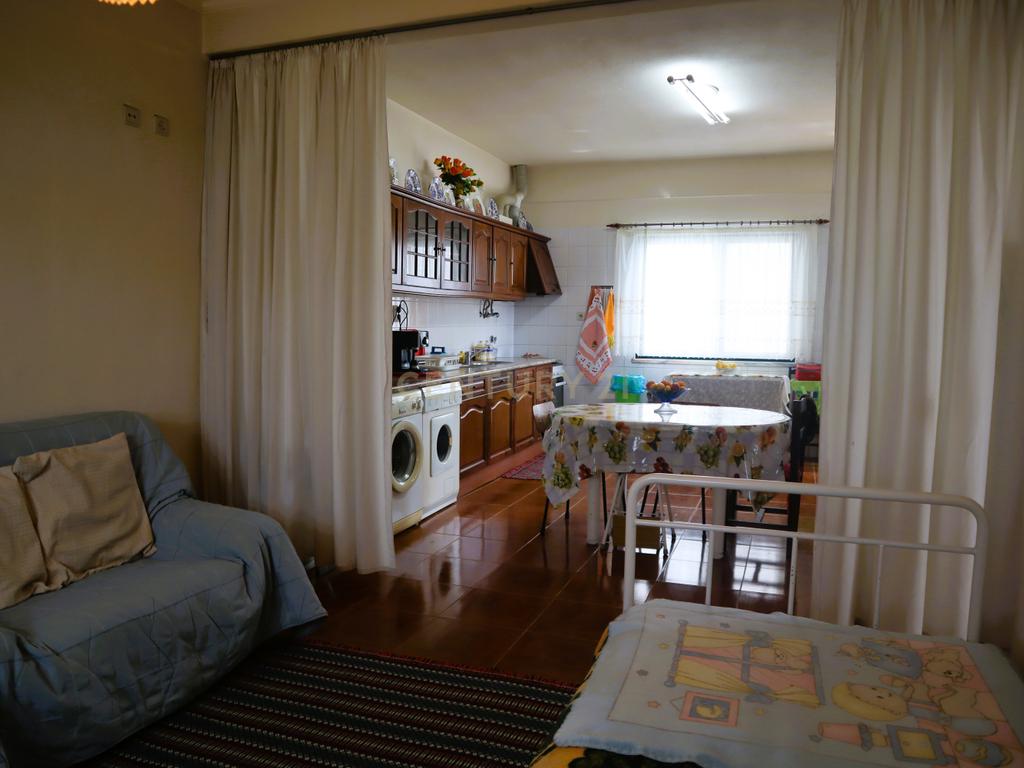 Moradia com Terreno para Venda – Carregueira (Chamusca) , Terreno: 2.120 m² | Moradia com potencial | Árvores de fruto | Água de poço - Image 10