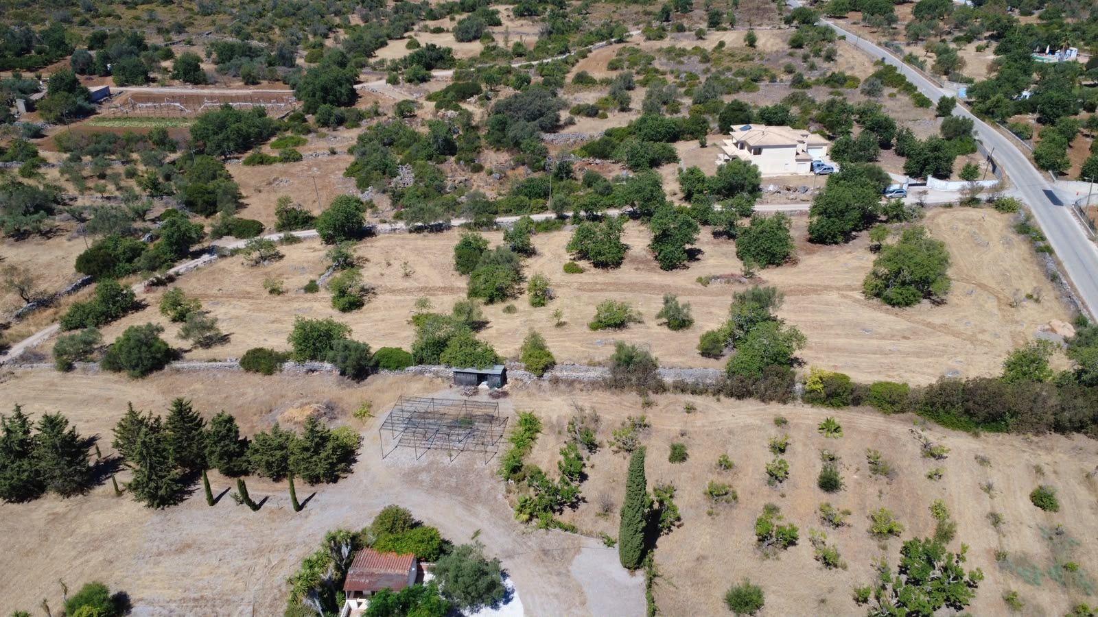 Fotografia 4 de Terreno Rústico com 3.560 m² em Pereiro – Moncarapacho, Olhão