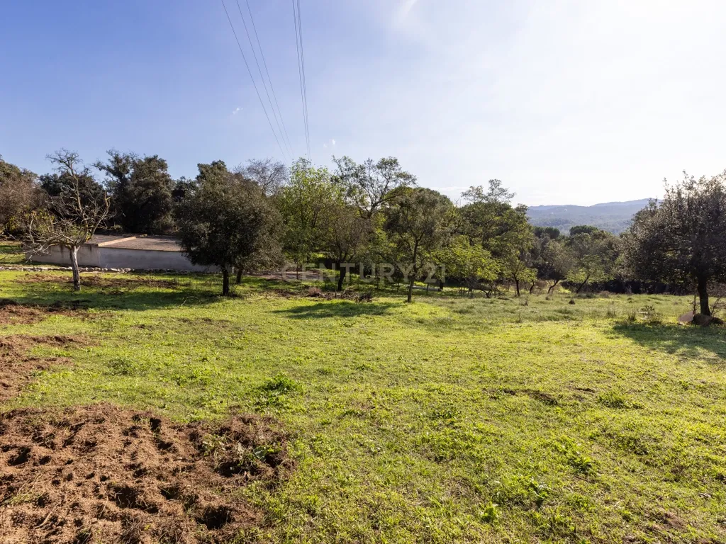 MASIA CATALANA EN VENDA A LLAGOSTERA – MÉS DE 7 HECTÀREES DE TERRENY, LLICÈNCIA TURÍSTICA, PISCINA I CAMP DE FUTBOL - Image 43