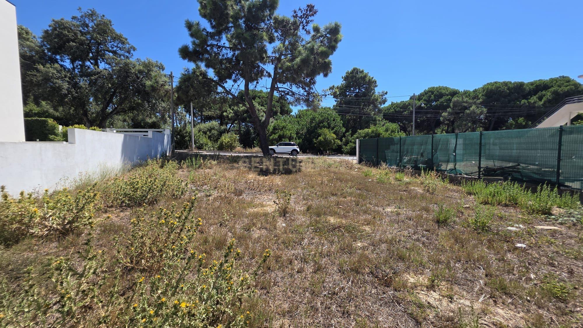 Fotografia 3 de # NOVIDADE #  TERRENO COM LOCALIZAÇÃO DE EXCELÊNCIA NA CHARNECA CAPARICA ( permite caminhar a comércio e serviços com facilidade )