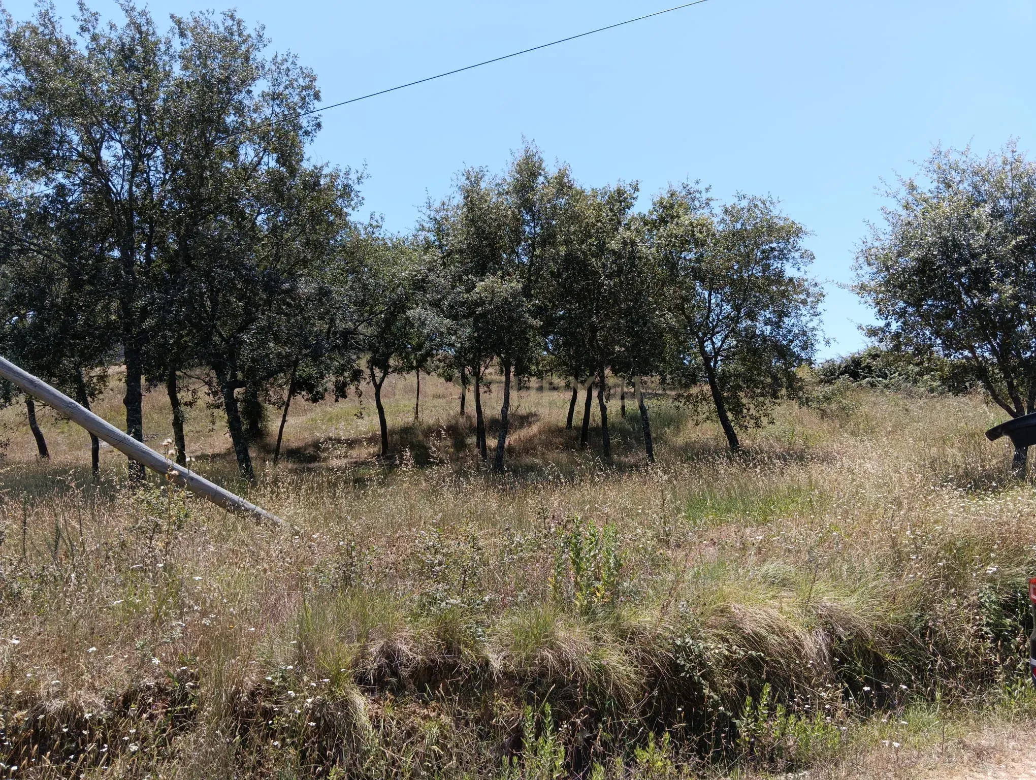 Fotografia 3 de Terreno com Vista Panorâmica em Santiago de Litém em Pombal.