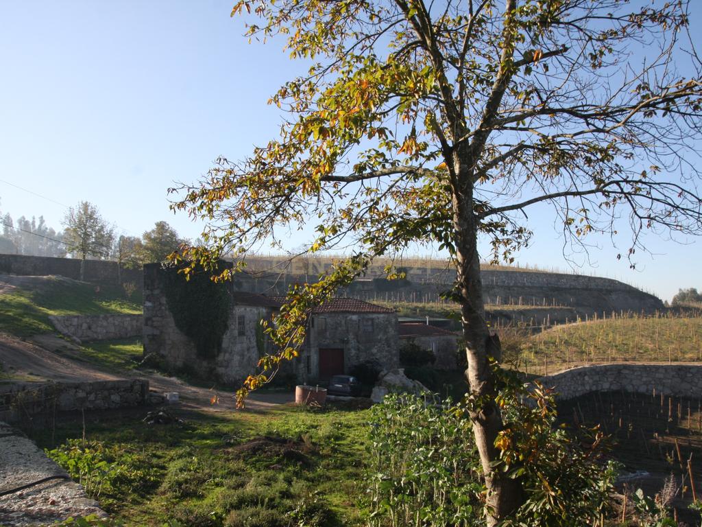 Quinta da Cerqueda, Santo Tirso - Image 16