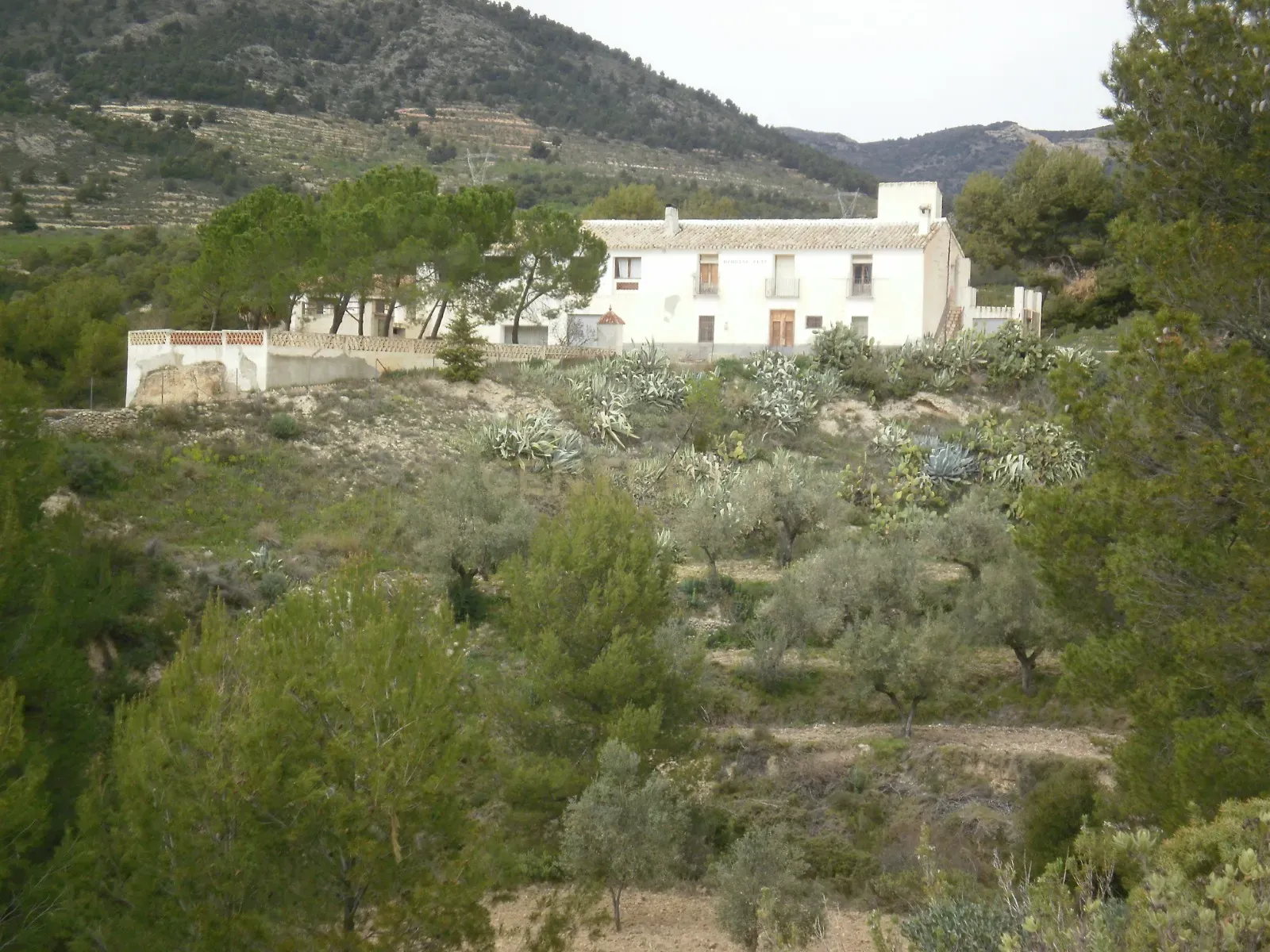 undefined - Image 1