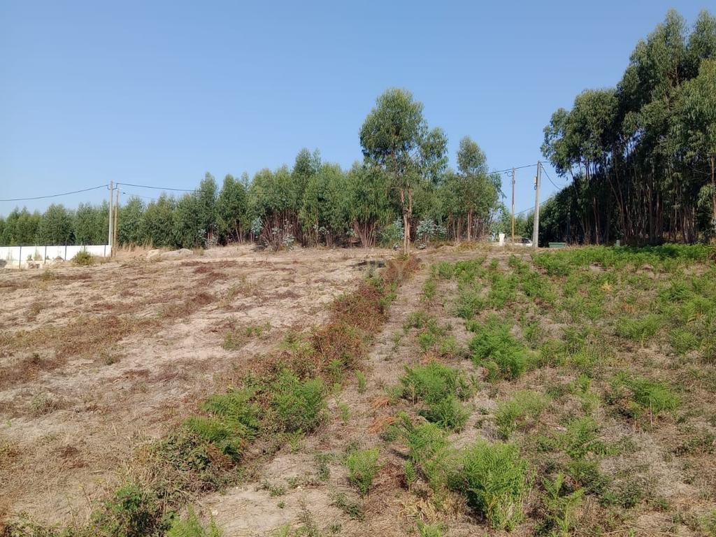Terreno com projecto aprovado, no Cidral, em Rio Maior - Image 2