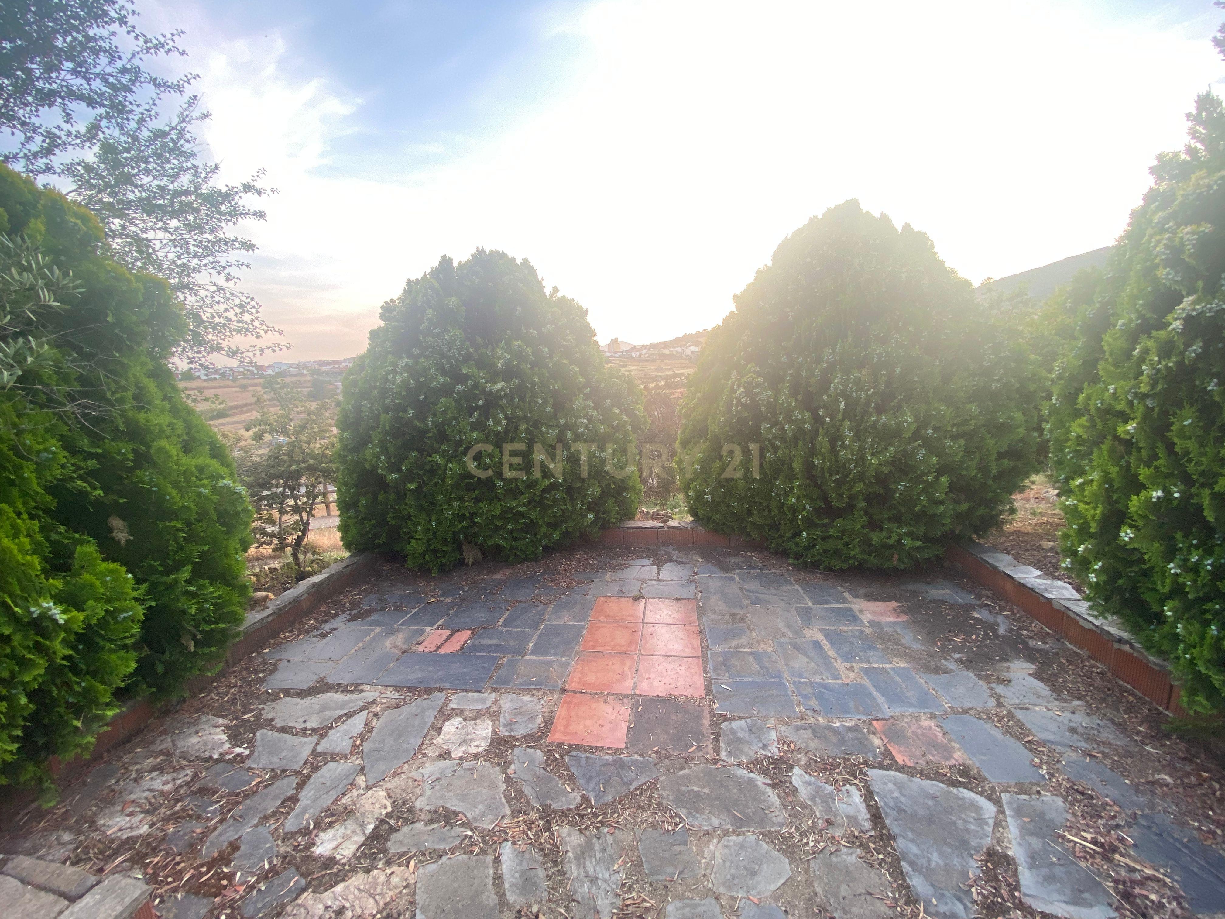 undefined - Image 81
