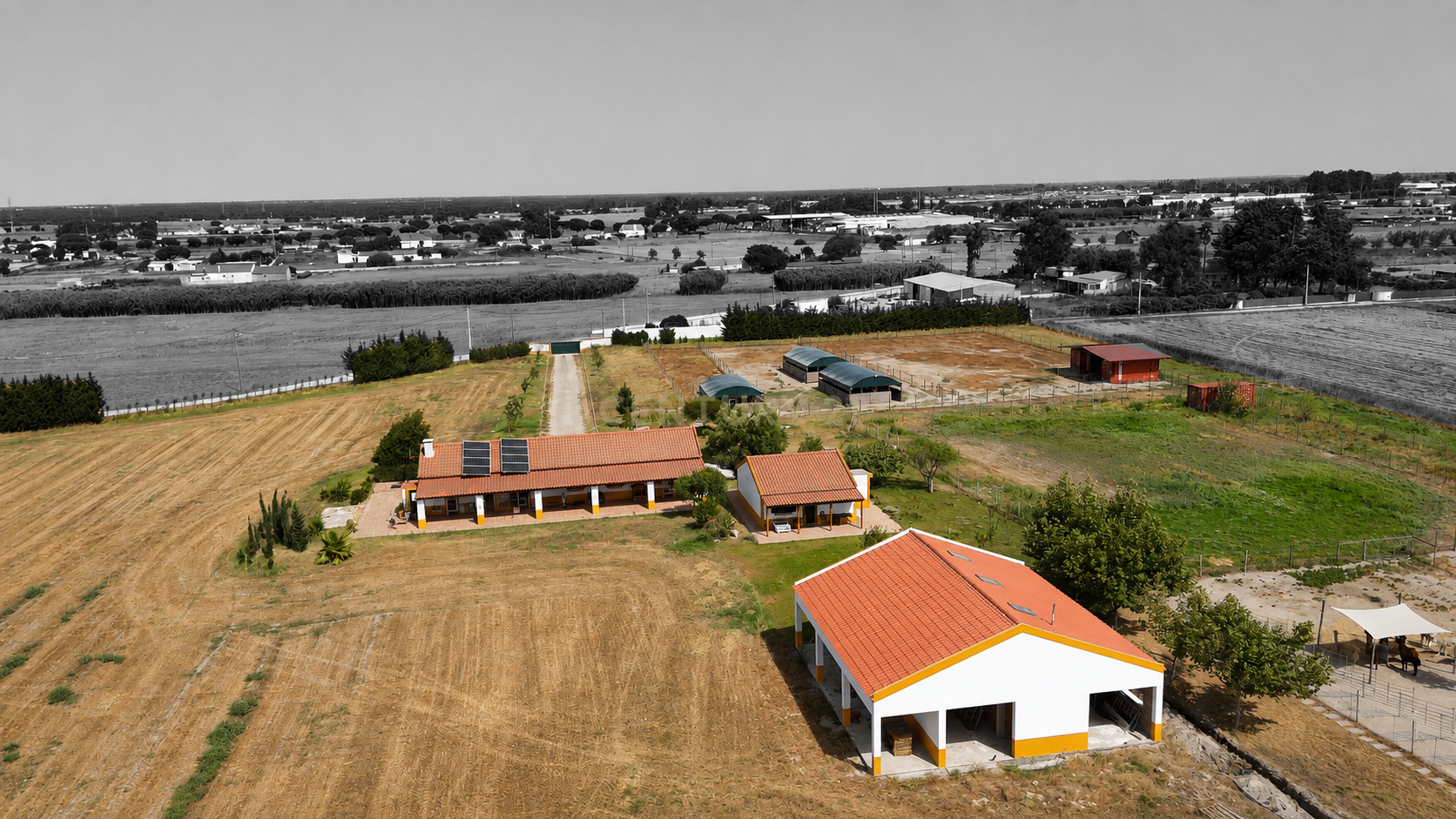 Quinta de Charme com 2,5 Hectares | Moradia Remodelada | Potencial para Agroturismo