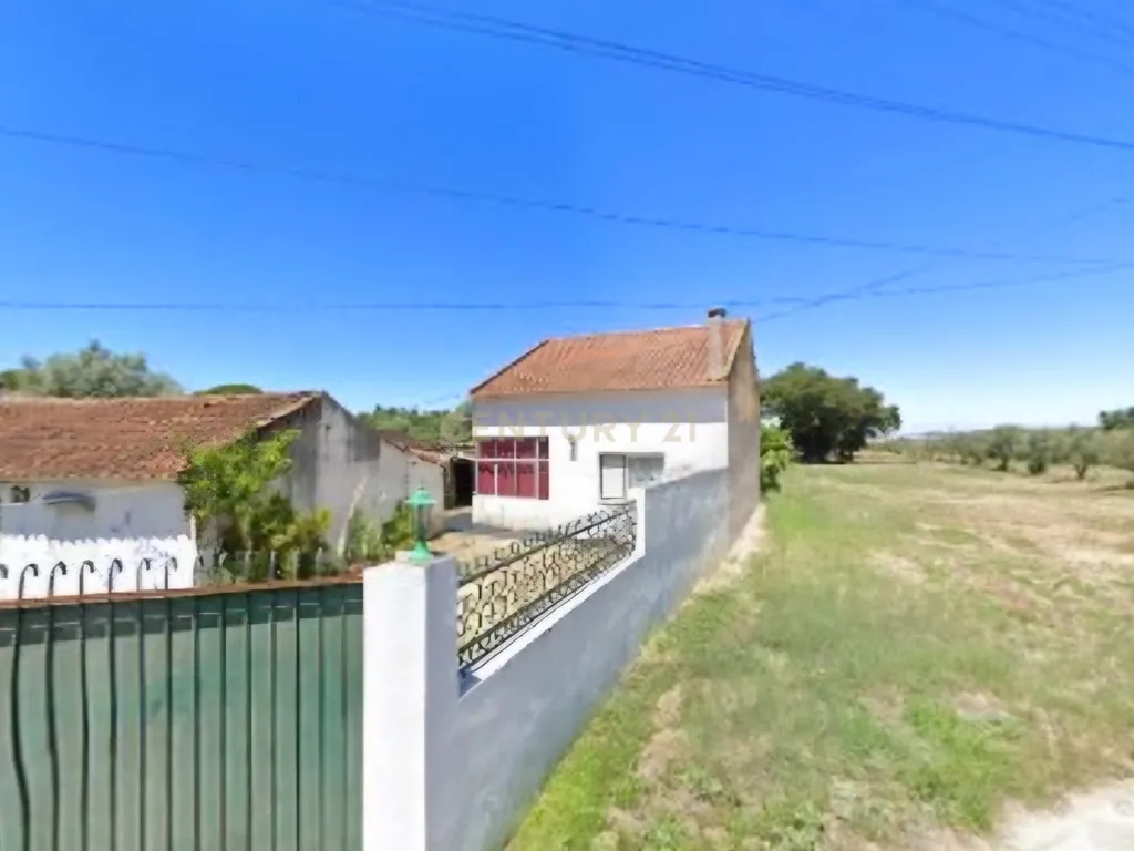 Moradia com Terreno para Venda – Carregueira (Chamusca) , Terreno: 2.120 m² | Moradia com potencial | Árvores de fruto | Água de poço - Image 1