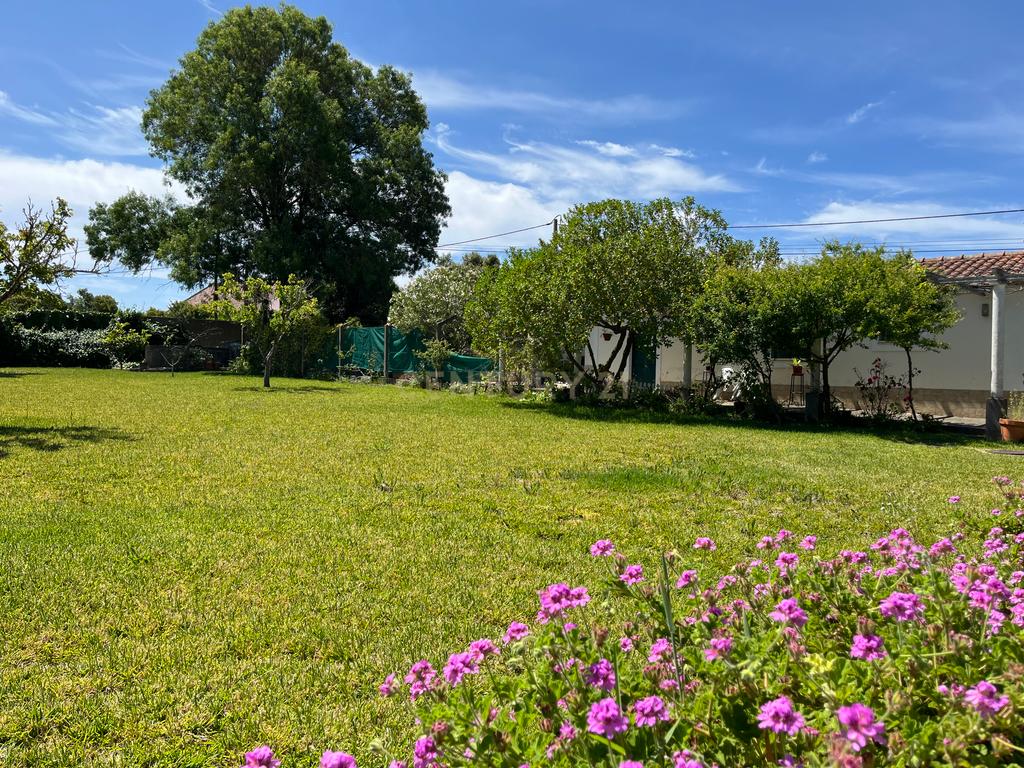Hotel de Charme no Alentejo – Santiago do Cacém - Image 42