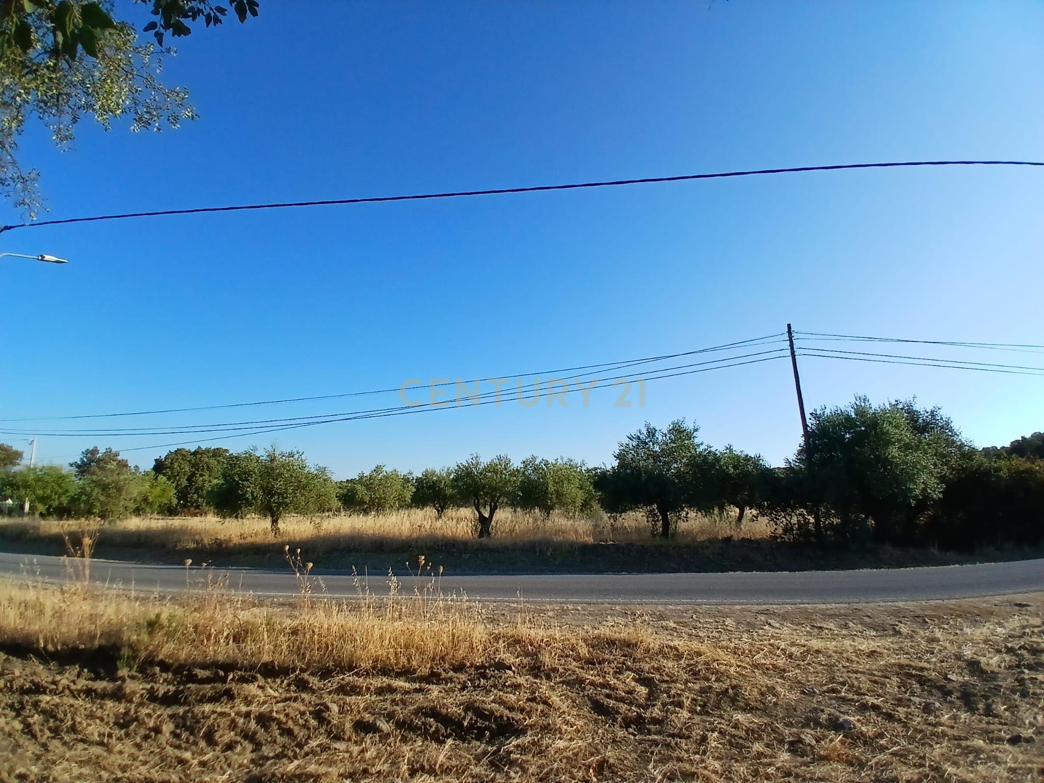 Fotografia 8 de Terreno Central em São Pedro do Corval, Vista para a Rocha dos Namorados
