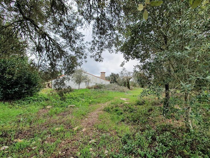 Terreno Rústico em Carapuça - Gonçalo, Guarda com Vista Panorâmica - Image 18