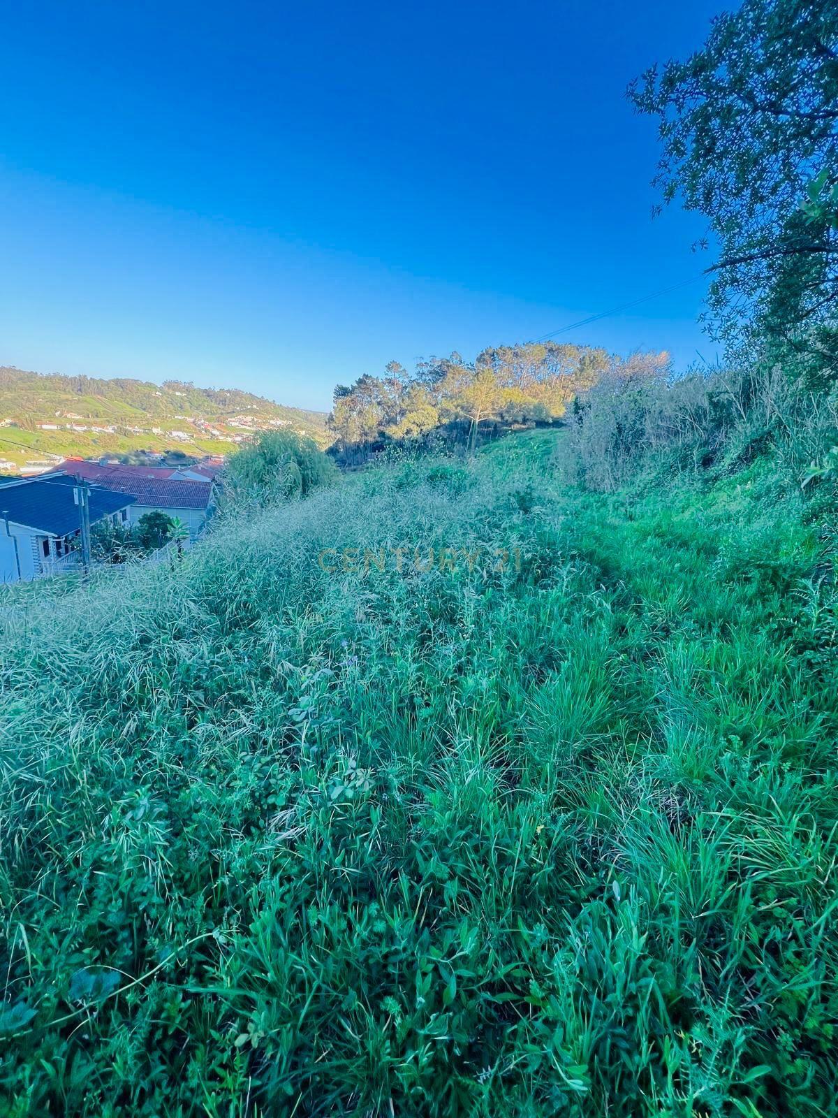 Fotografia 5 de Terreno para construção no Vimeiro