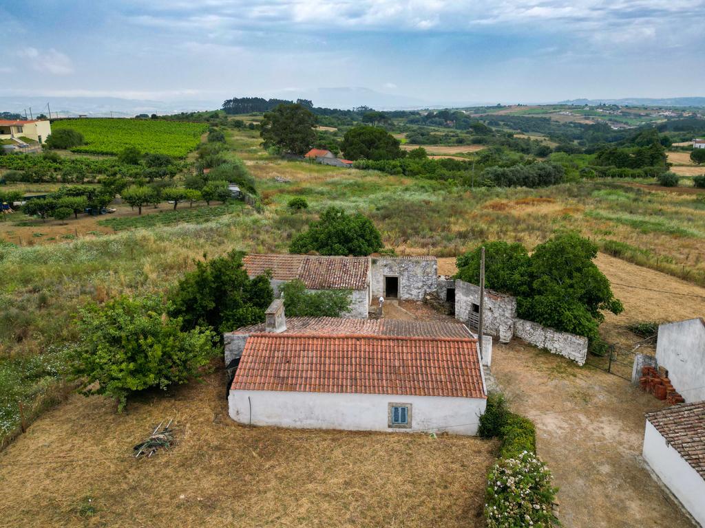 Quinta Arruda dos Vinhos|Casal das Eiras, Alenquer - Image 10